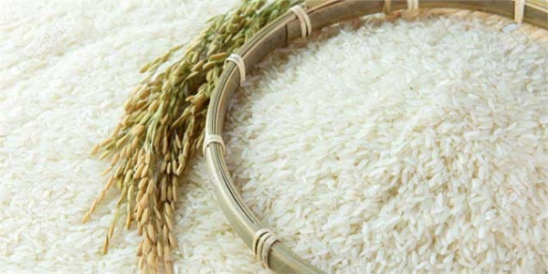 The import of rice to Azar was banned / the status of reserves is favorable